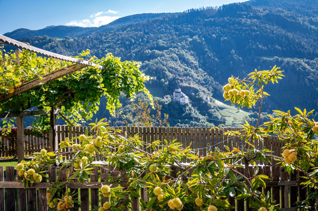 Kinnhof Ausblick Trostburg